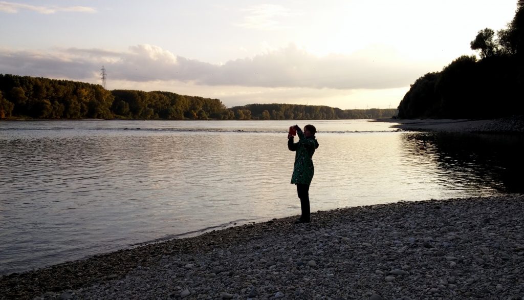 Capturing the moment in the national park Donau-auen
