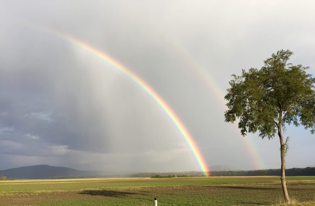 Supernumerary rainbow and double rainbow outside Engelhartstetten, Austria, 9 October 2016