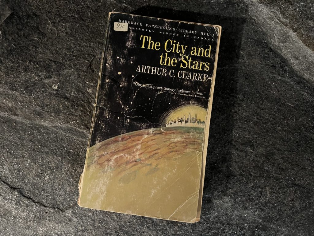 The City and the Stars novel